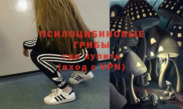 шишки Алзамай