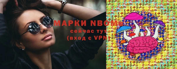 шишки Алзамай