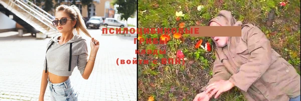 гидра Абинск