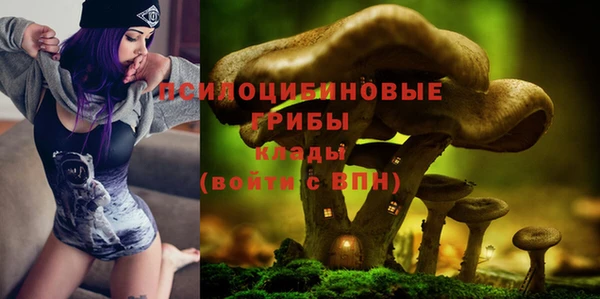 гидра Абинск