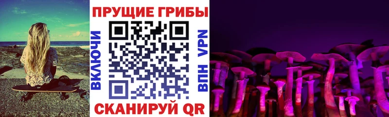 наркотики МЕГА ссылка Псилоцибиновые грибы Cubensis Краснозаводск